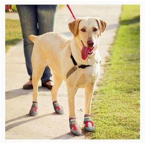 New. Never worn. Size 5 - Dog Booties